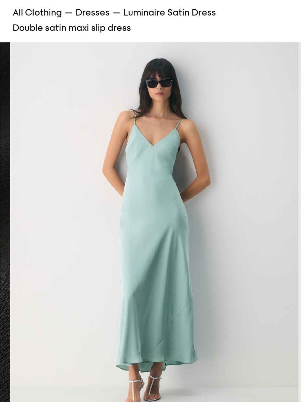 Aritzia Maxi Luminaire Dress